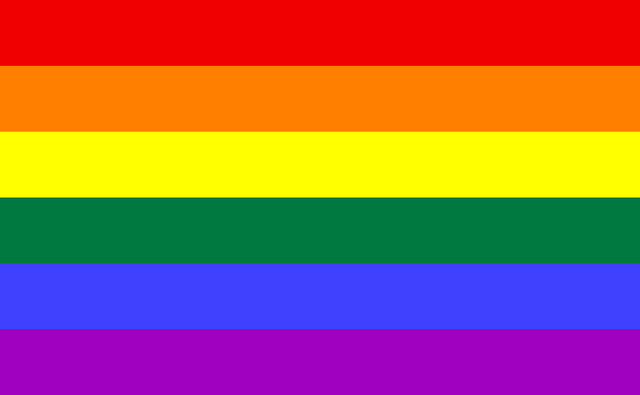 File:Gay Flag.png