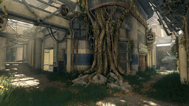 File:H5G Multiplayer Overgrowth1.jpg