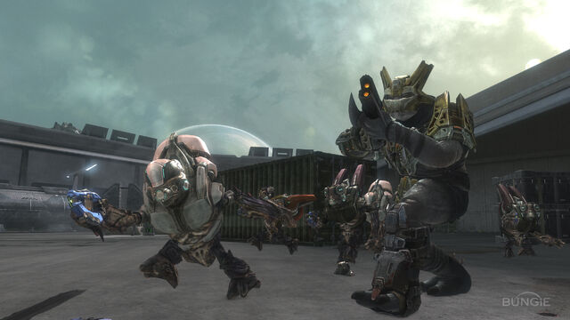 File:Reach FF Courtyard04.jpg