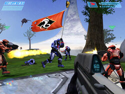 Halo CTF