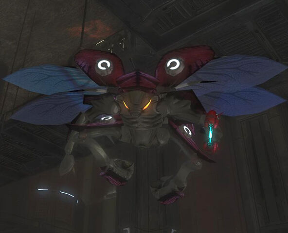 File:DroneRedLeader.jpg