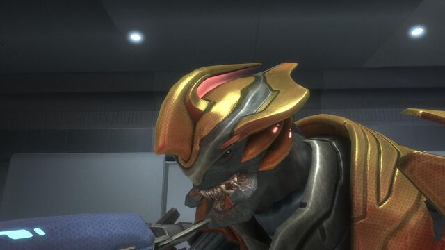 File:Elite Sangheili Major.jpg
