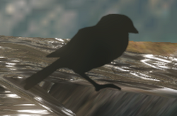 H2A RemnantBird