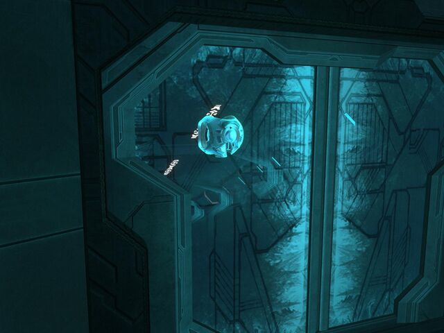 File:Reach 24929715 Medium.jpg