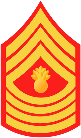 File:USMC-E9-MGyS.png
