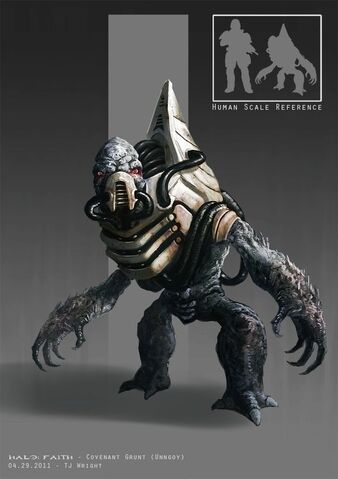 File:Halo faith grunt.jpg