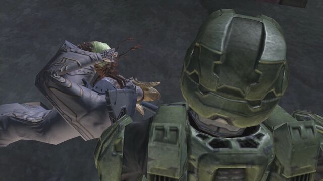File:Chief finds Mercy.jpg