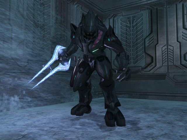 File:Black sangheili 0001.jpg
