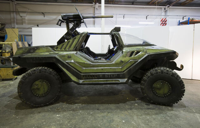 File:WarthogB110707.jpg