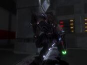 Jackal Darkness