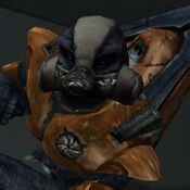 Grr