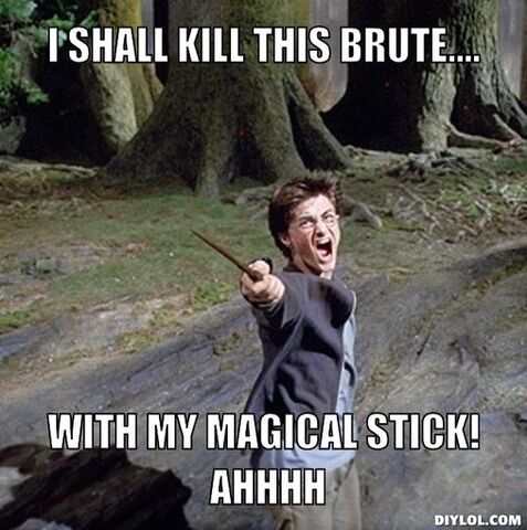 File:Piseed-off-harry-meme-generator-i-shall-kill-this-brute-with-my-magical-stick-ahhhh-3484b8.jpg