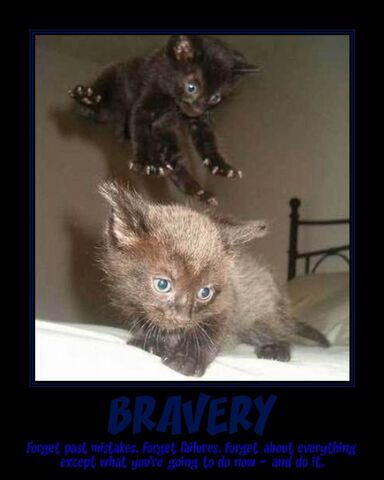 File:Bravery-1.jpg