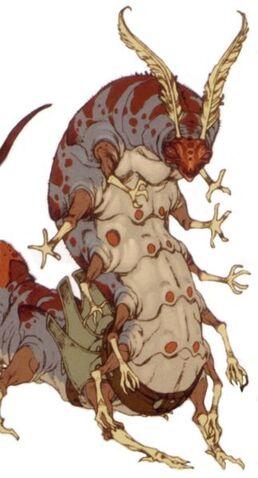 File:323px-Ruurian UAA.jpg