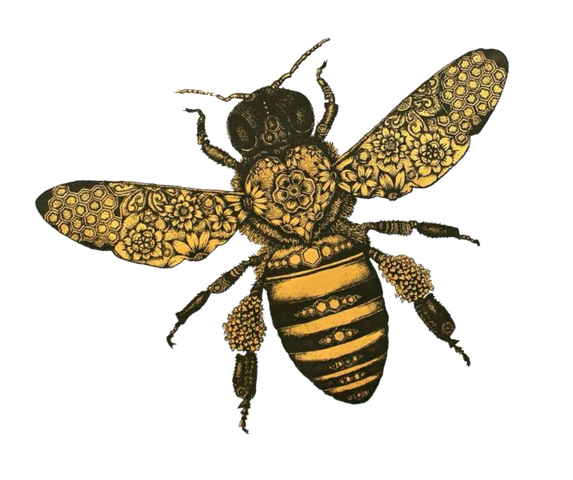 File:Hfk bee tilt.png