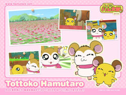 Mafurachibi1280-0