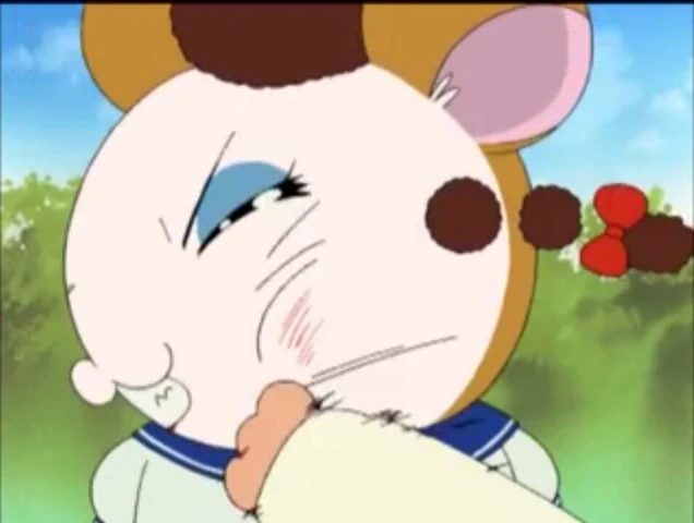 Tottoko Hamutaro Anime Dechu Found Hamtaro Anime Series