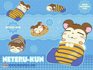 Neteru 800 bg