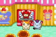 Hamtaro-Ham-HamGames-0001 zps4f84b6e1
