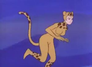 Cheetah