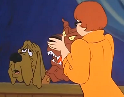 Nick Thomas' Dog