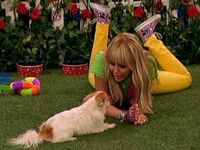 Hannah barks.jpg