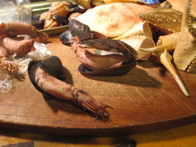 File:Ep-7--musselsquid salted baby squid.jpg