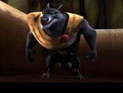 Big tough wolf