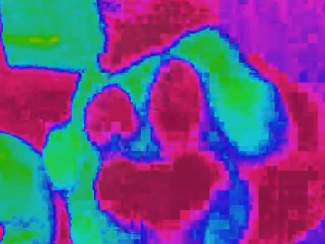 File:Happyappy01.png