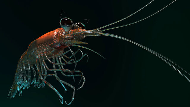 File:HF2 Krill Concept 2.jpg