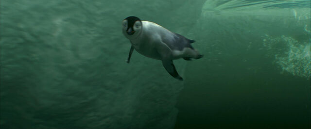 File:Happy-feet-disneyscreencaps.com-9738.jpg