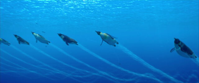 File:Happy-feet-disneyscreencaps.com-3103.jpg
