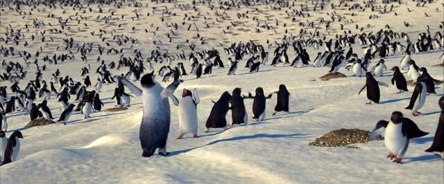 File:Happy-feet-disneyscreencaps.com-4613.jpg