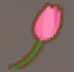 Tulip-0