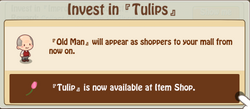 Tulips Investment