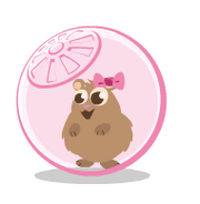 Girl Hamster