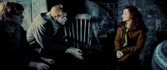 File:Hermione-fredandgeorge.jpg