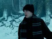 SlytherinBoy