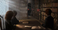 Hagrid dans la section des dragons.jpg