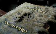 Monsterbuch.png