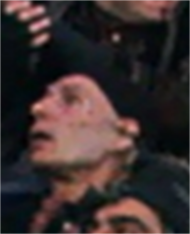 File:BehindMoustached.png