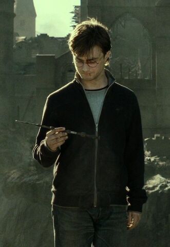 File:Harry Elder Wand.jpg