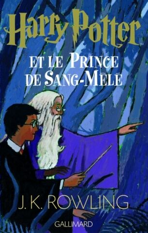 File:French Book 6 Cover.jpg
