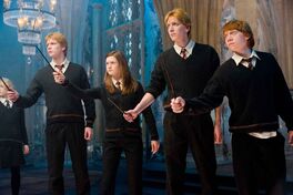 HP5 DA Weasleys.jpg