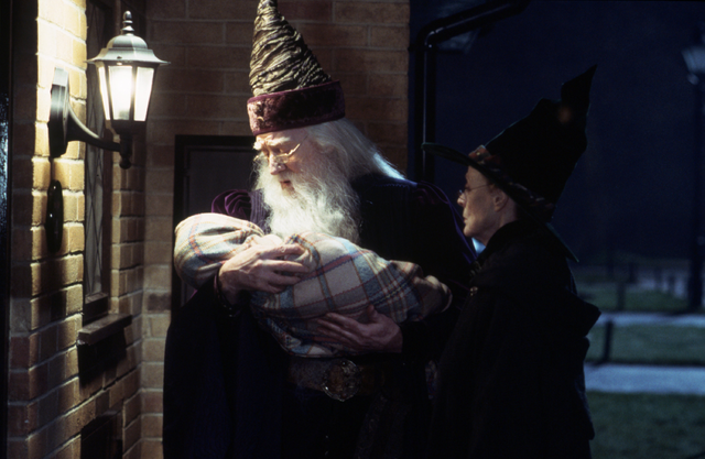 Datei:BumbleboreMcGeegeeHARRY.png