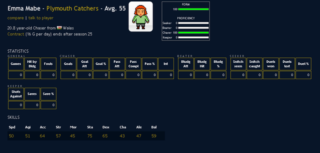 File:Player.png