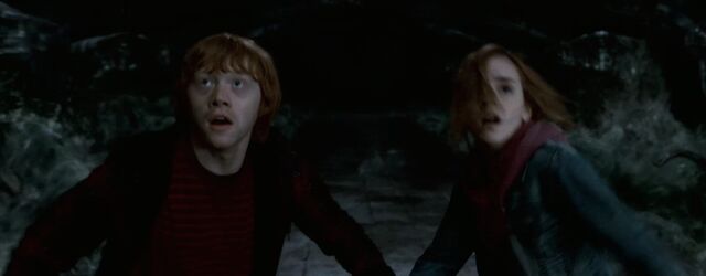 File:Ron, Hermione-chamber of secrets.jpg