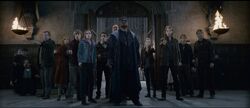 2010 harry potter and the deathly hallows p2 056.jpg
