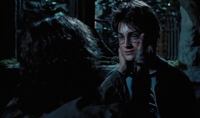File:Harry and Sirius.jpg