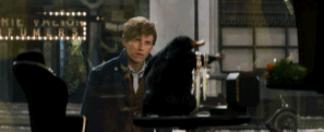 Niuchaczgdzieś.gif